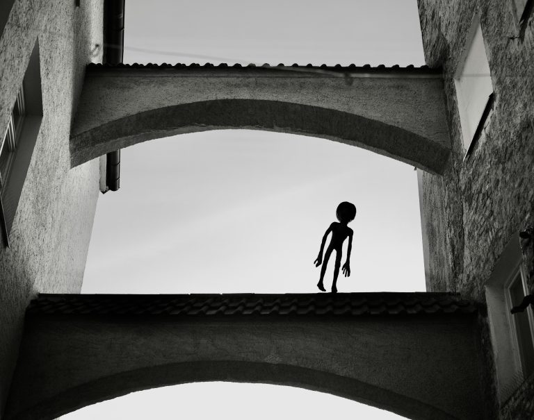 Photo by Johannes Dürr