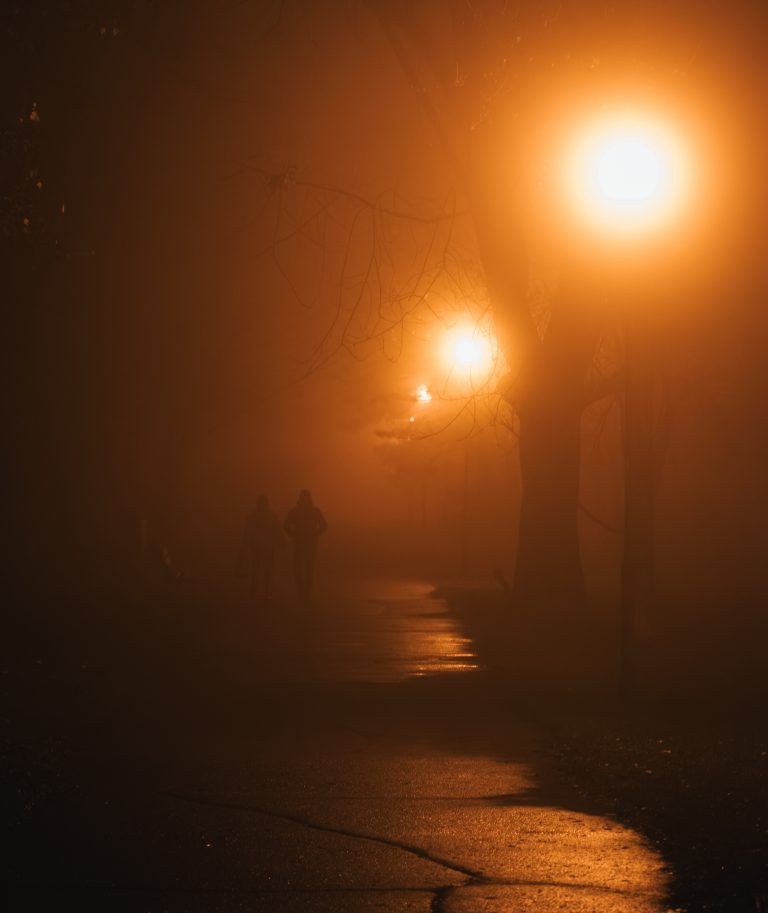 Photo by Dávid Palička