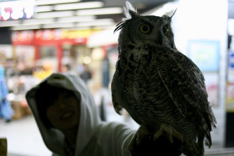 Street photo in Tokyo, Japan by Michał Gołębiewski