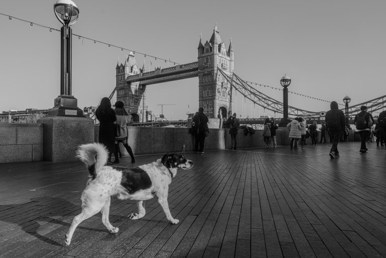 Photo by Ryan Shotison