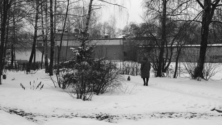 Street photo in Noginsk, Russia by Feroce Boscaiolo