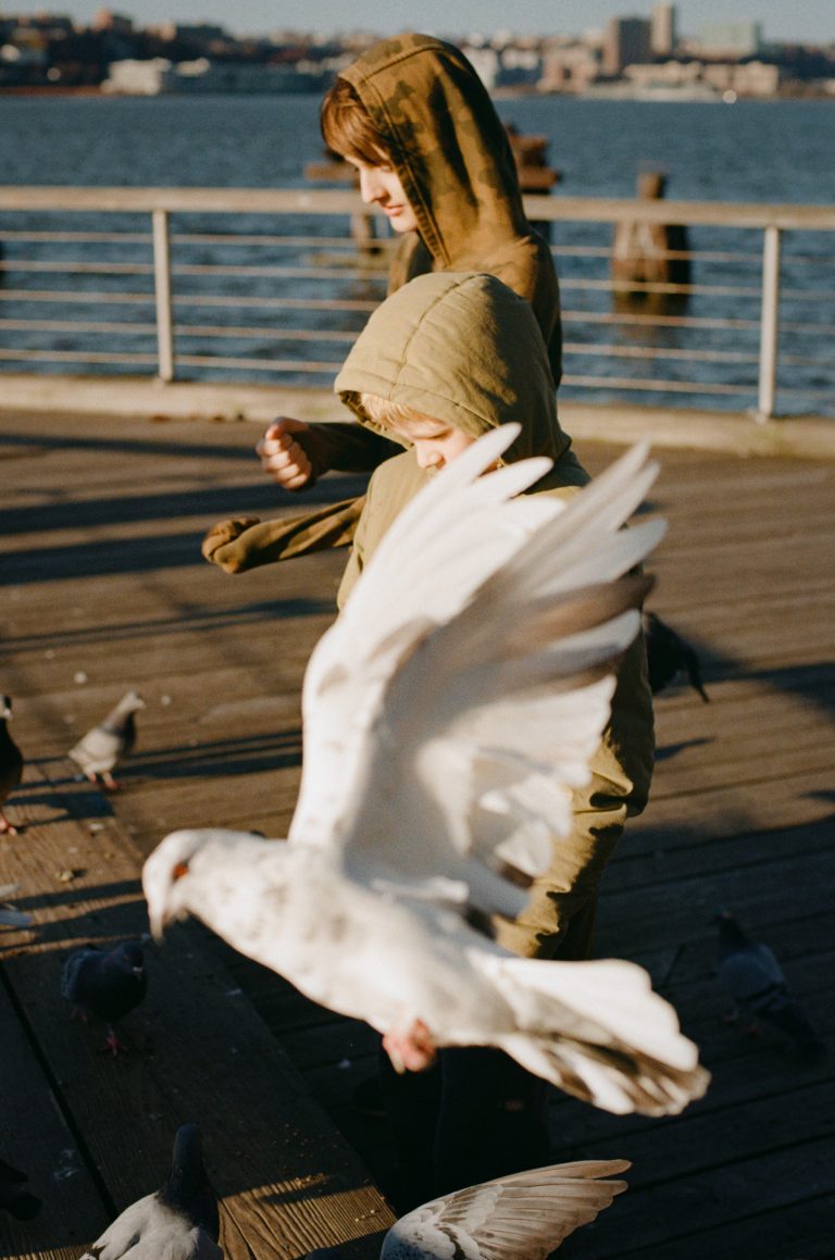 Street photo in Harvey Cedars, United States by Feng Cheng
