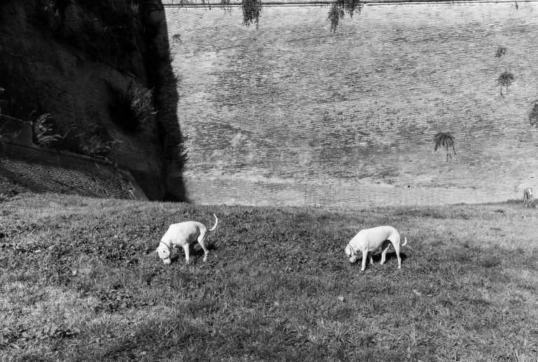 Photo by Harvey Davies