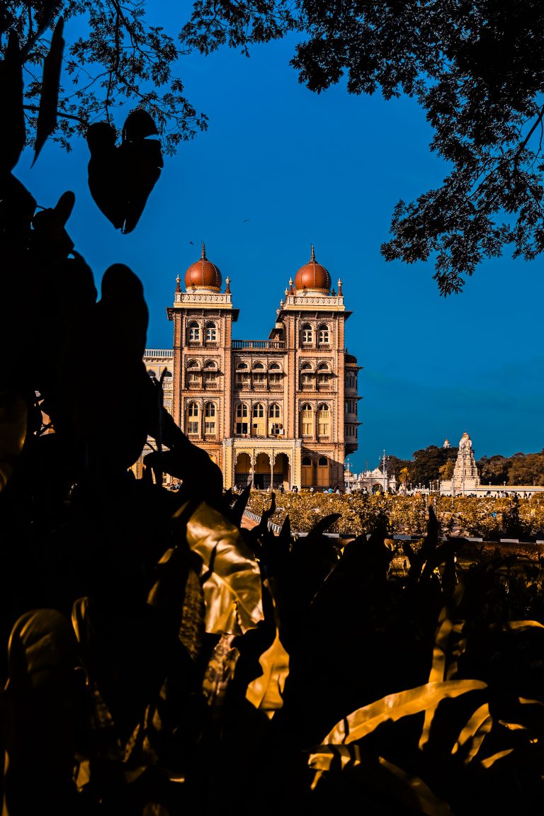 Street photo in Mysuru, India by Raviraja Konnipati