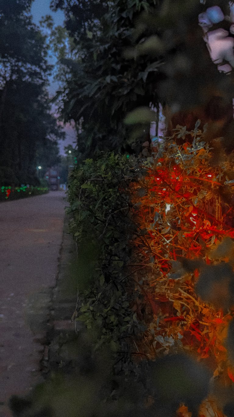 Street photo in Rangpur, Bangladesh by Raian Jihad