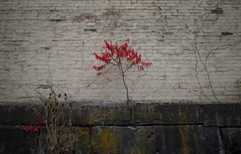 Street photo in Cleveland, United States by Ben Hester