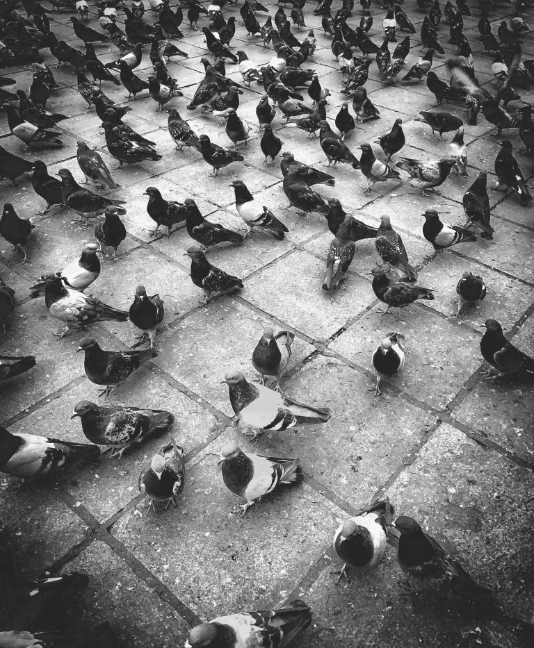 Street photo in La Paz, Bolivia by Bruno Ayllon