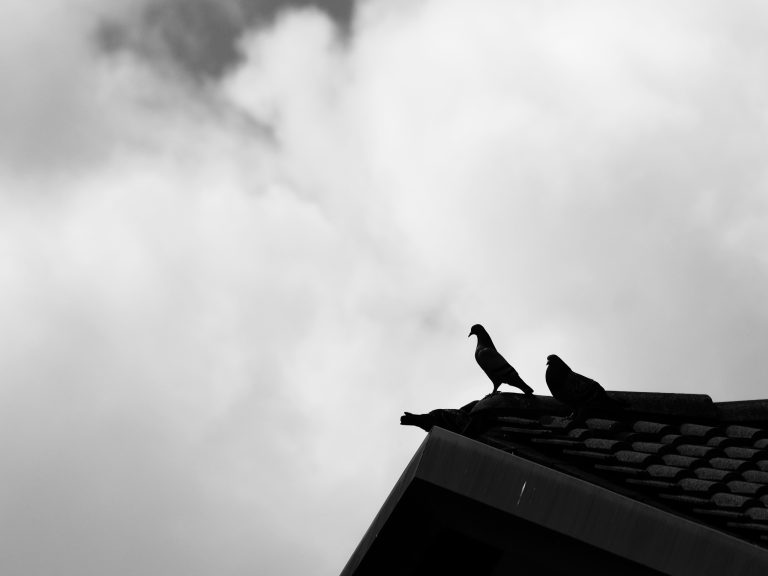 Street photo in Verona, Italy by Emanuele Cunego