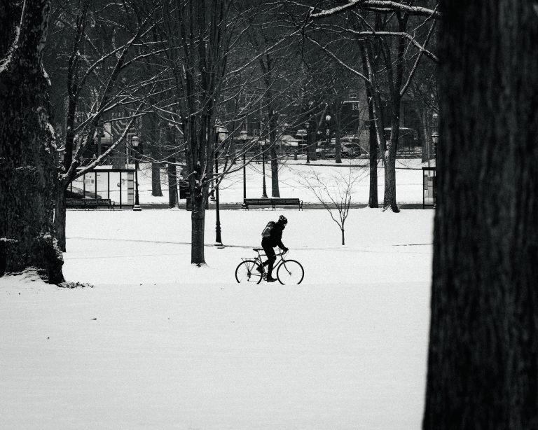 Photo by Bayete Campbell