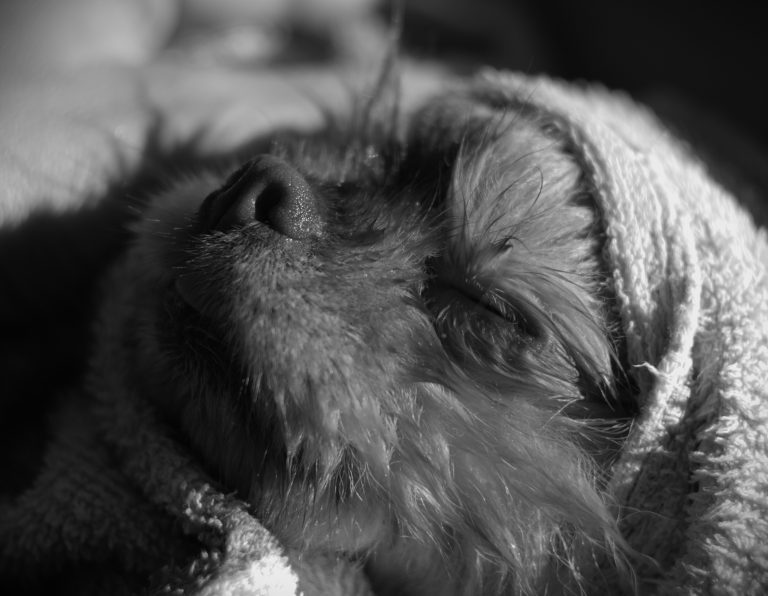 Photo by Андрей Рухлинский