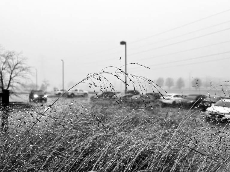 Street photo in West Chester Township, United States by Luke Wilson