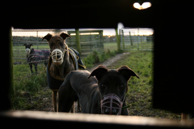 Street photo in Co. Galway, Ireland by Louis Scott