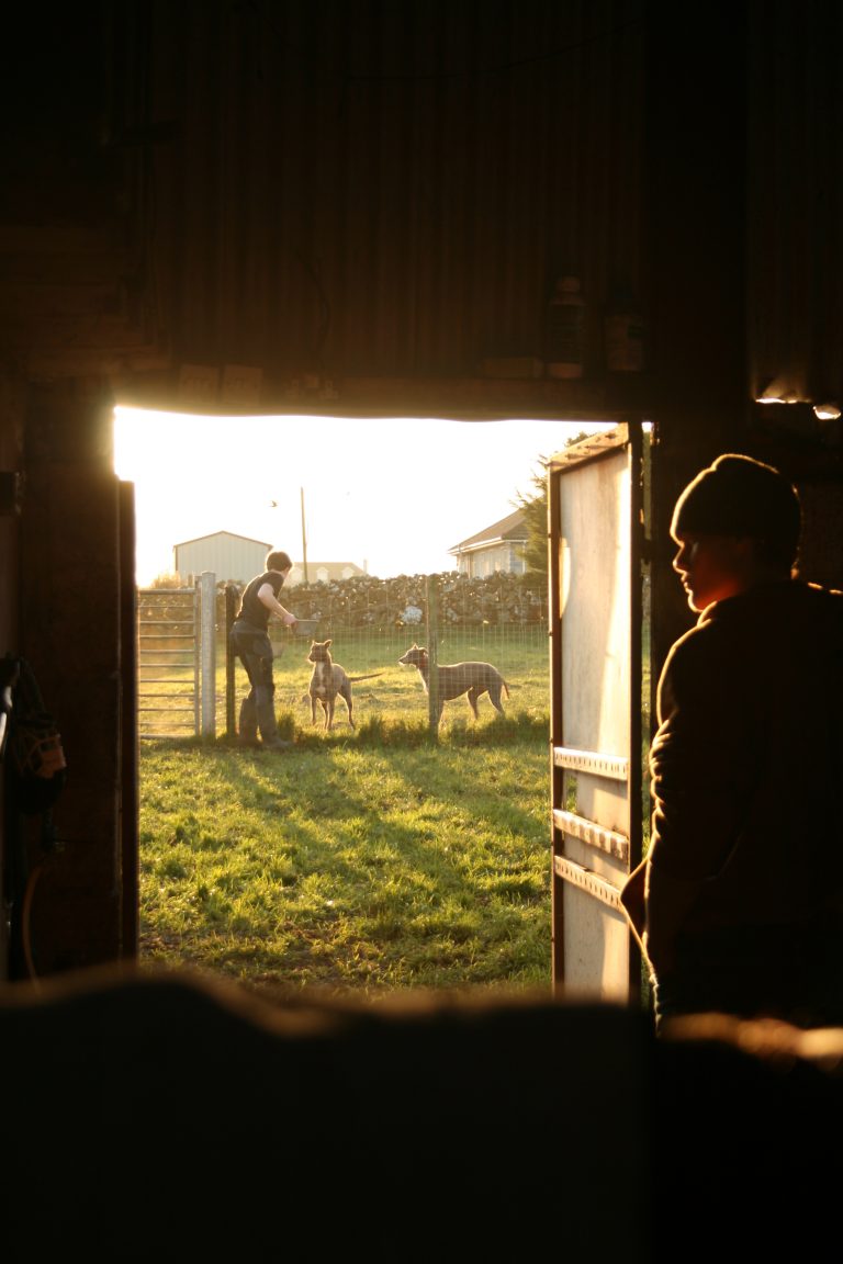 Street photo in Co. Galway, Ireland by Louis Scott