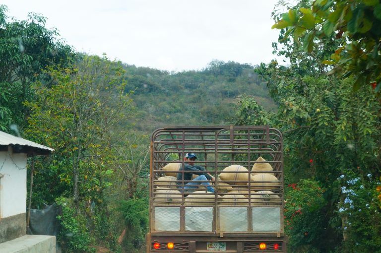 Photo by Ariwame Reynoso