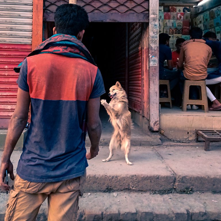 Street photo in Narayanganj, Bangladesh by Robinul Islam