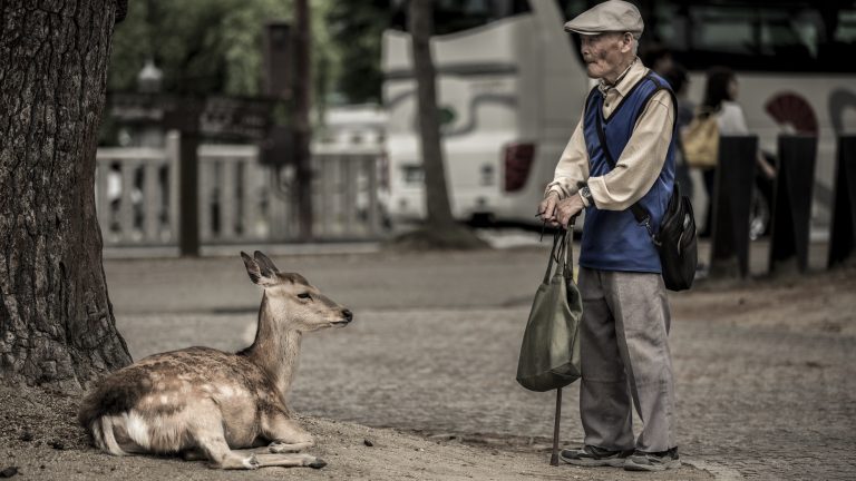 Street photo in Nara, Japan by Remo Obrist