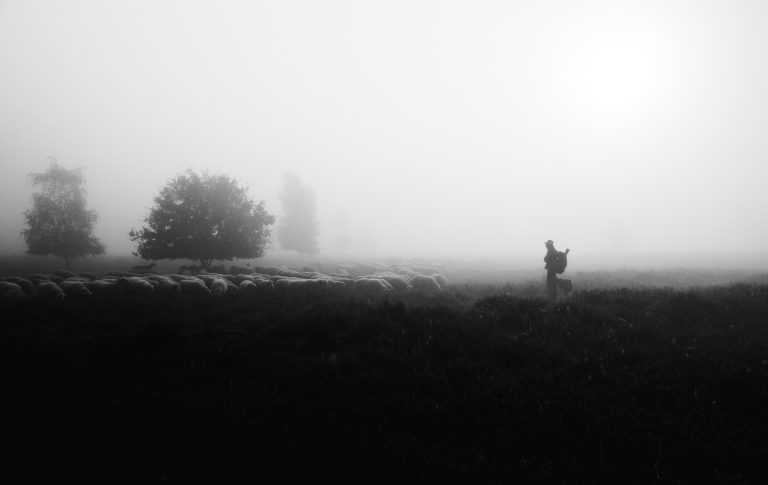 Photo by Gino Ricardo