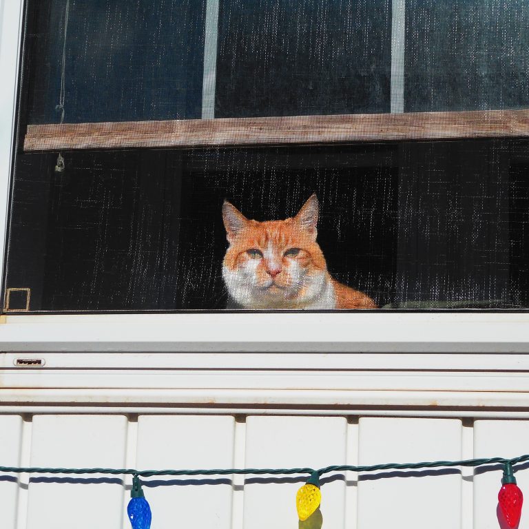 Street photo in Summerside, Canada by James Poyner