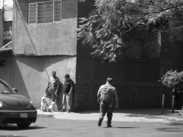 Photo by Luis Ibarra