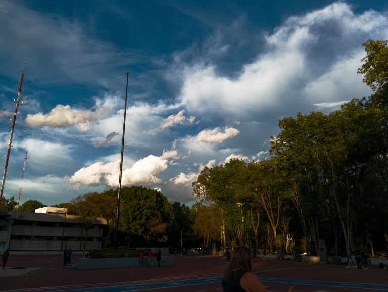 Photo by Luis Ibarra