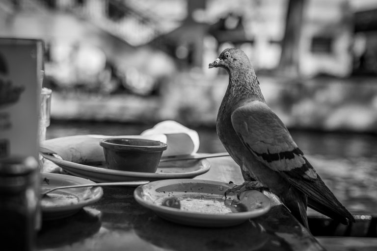Photo by Eric Hattey