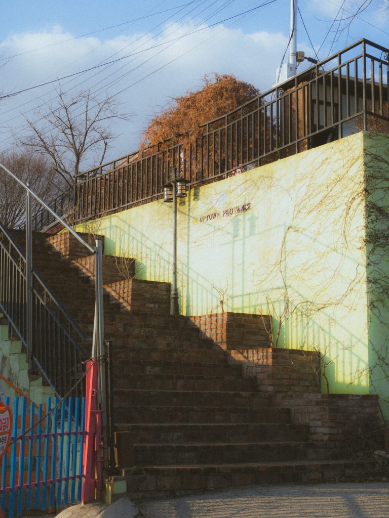 Photo by Roy Kim