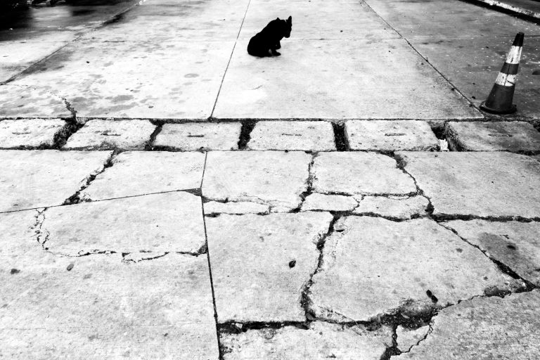 Street photo in Guatemala City, Guatemala by Duncan Aitken