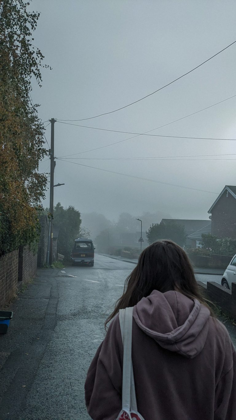 Street photo in Abergavenny, United Kingdom by Luca Welch