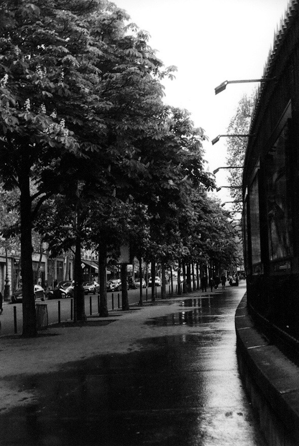 Street photo in Paris, France by Marsden Shetterly