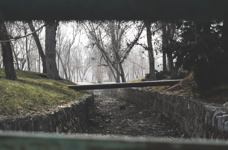 Photo by Mohammadreza Karimi Raad