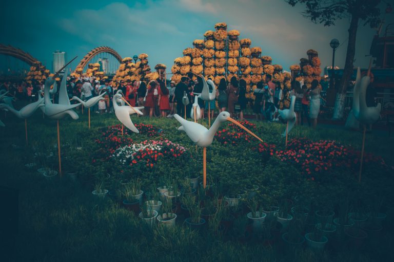 Photo by Nguyễn Hoàng