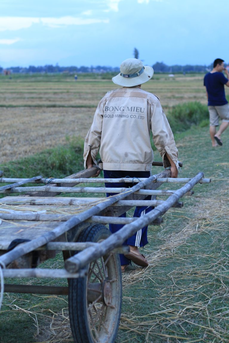 Photo by Nguyễn Hoàng