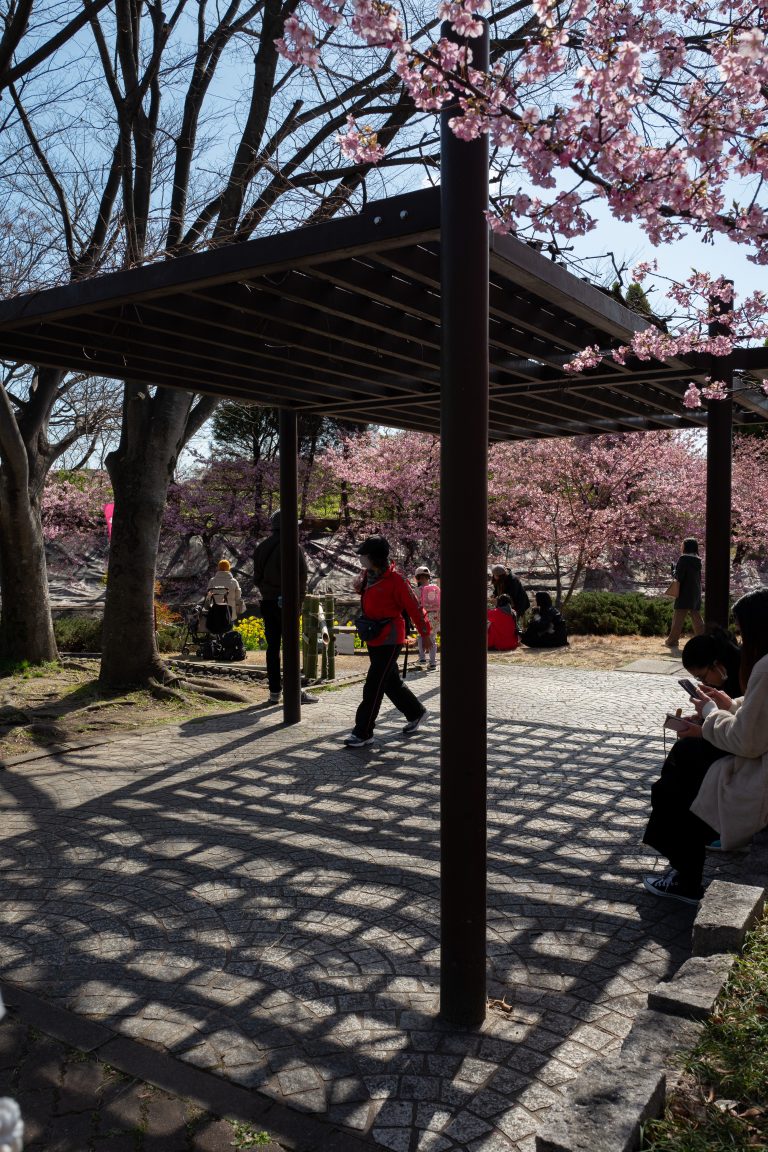 Photo by Kenichi Boya