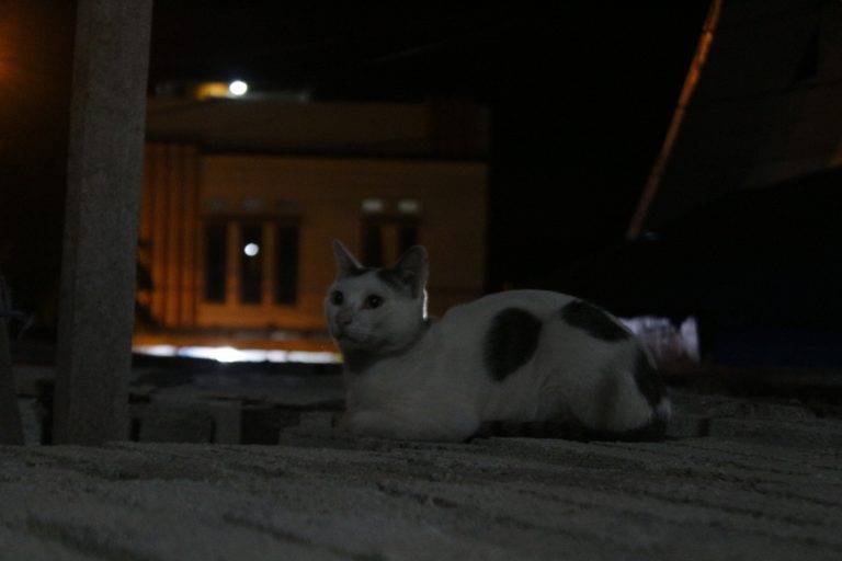 Photo by Muh Hilal