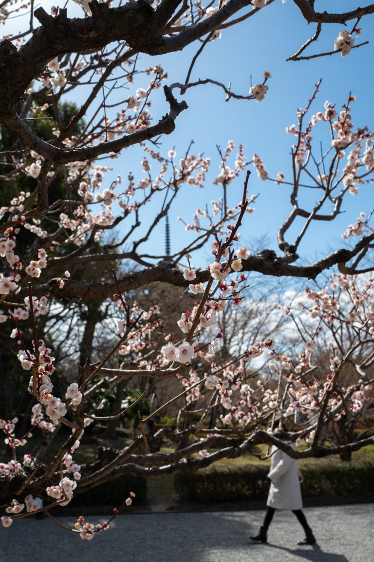 Photo by Kenichi Boya