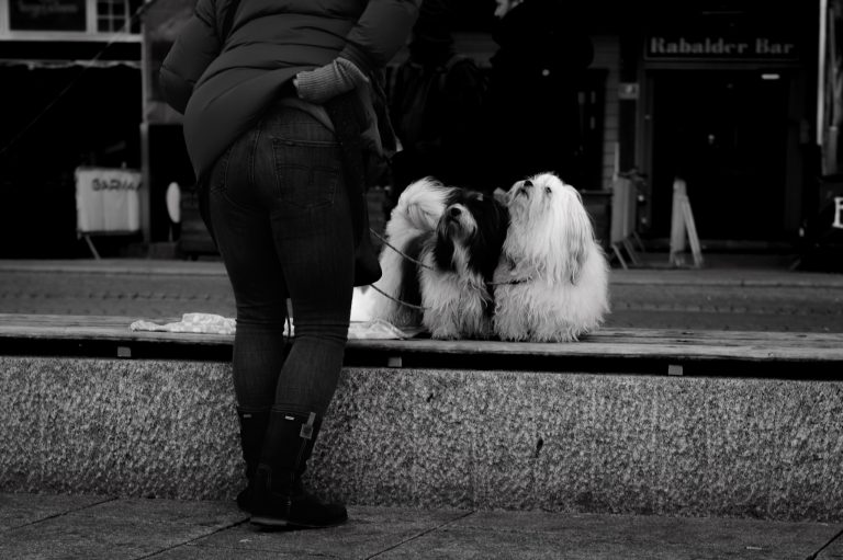 Photo by Milos Stojanovic