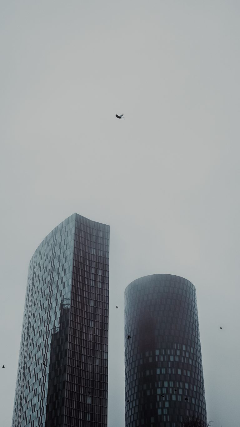 Photo by Amro Shaaeldin