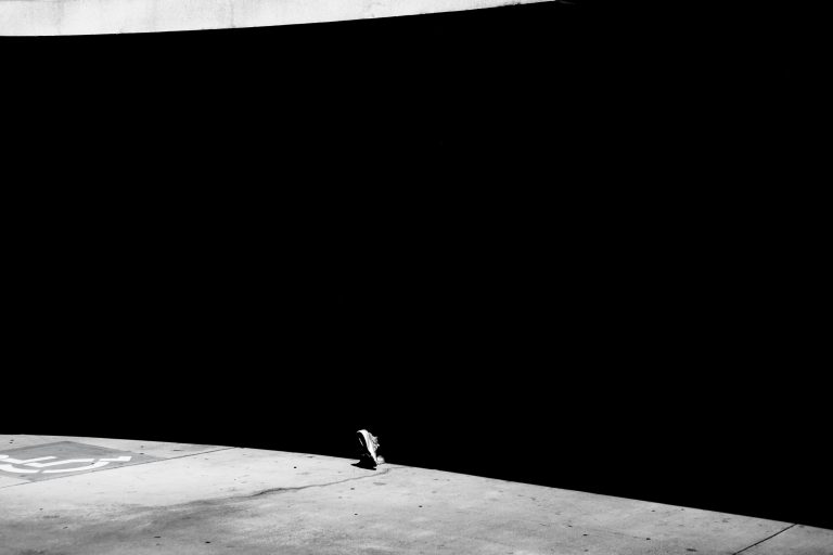 Photo by Jason Segarra
