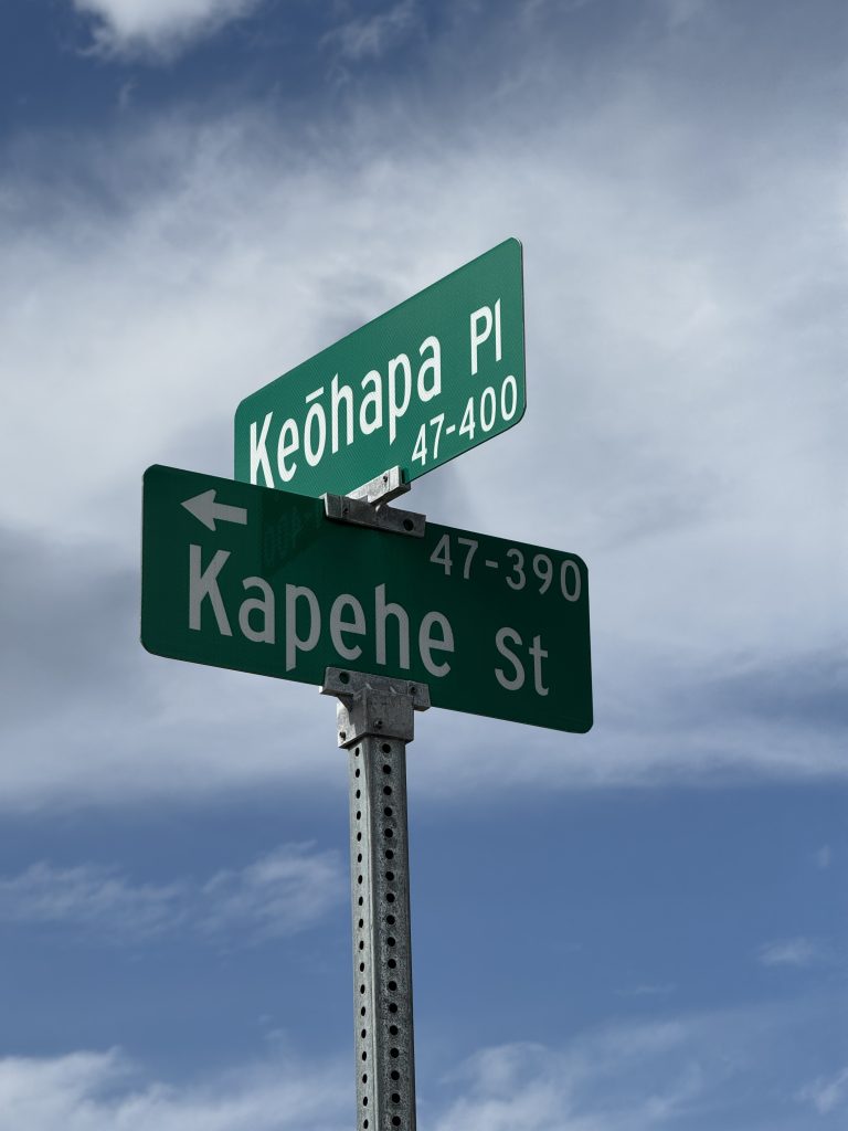 Street photo in Kahaluu, United States by Leilani Madamba