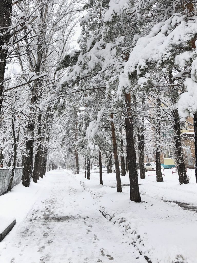 Street photo in Arsenyev, Russia by Kseniya May