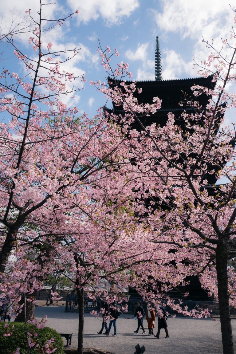 Photo by Kenichi Boya
