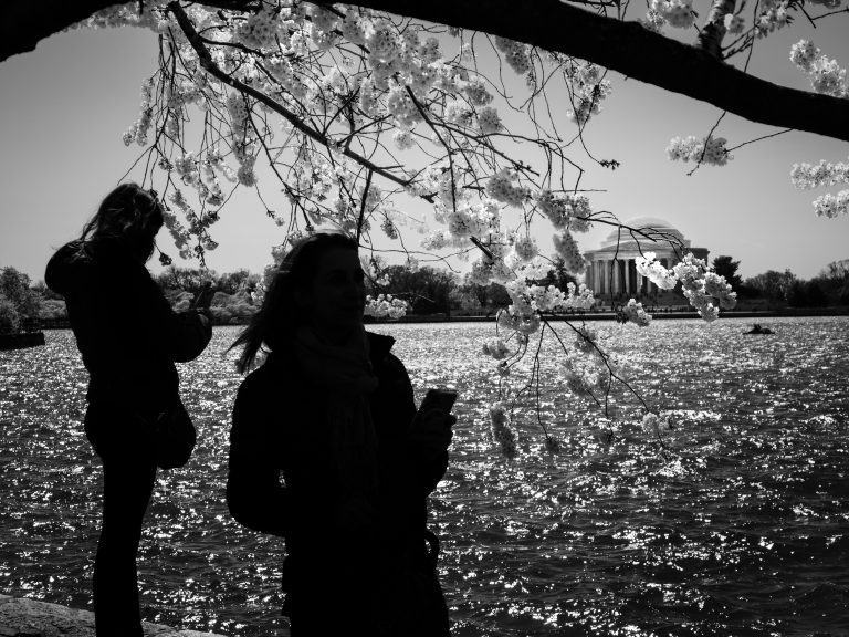 Street photo in Washington, United States by Leo Crespo