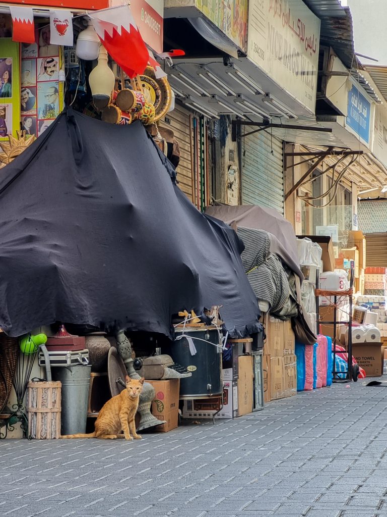 Street photo in Manama, Bahrain by Anvith ...