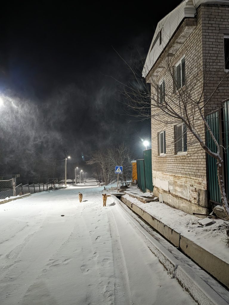 Street photo in Vladivostok, Russia by Kostya Shah
