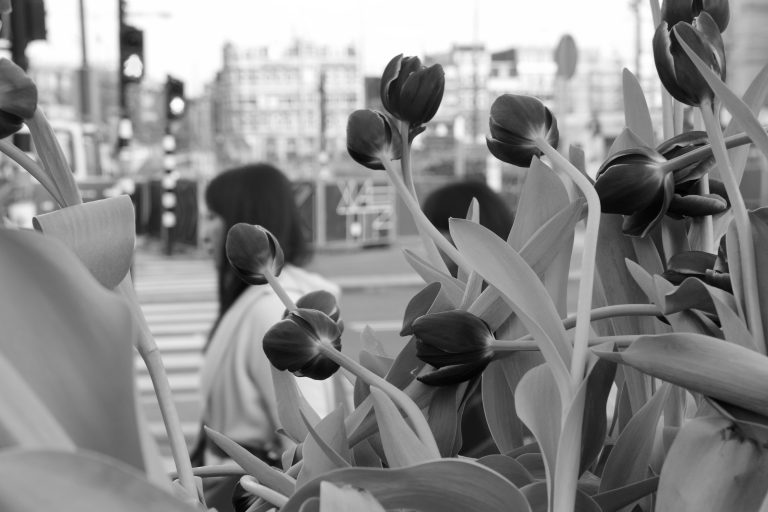 Street photo in Innsbruck, Austria by David Sheppard