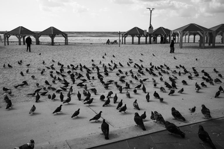 Photo by Guy Goren