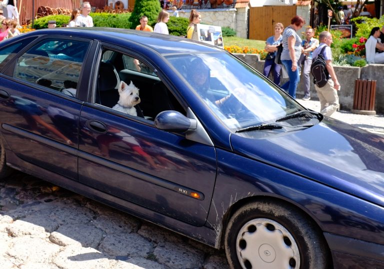 Street photo in Kazimierz Dolny, Poland by Thocles Warszawski