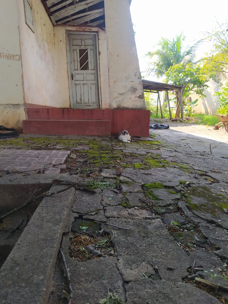 Street photo in Dracena, Brazil by Vinícius Amaral