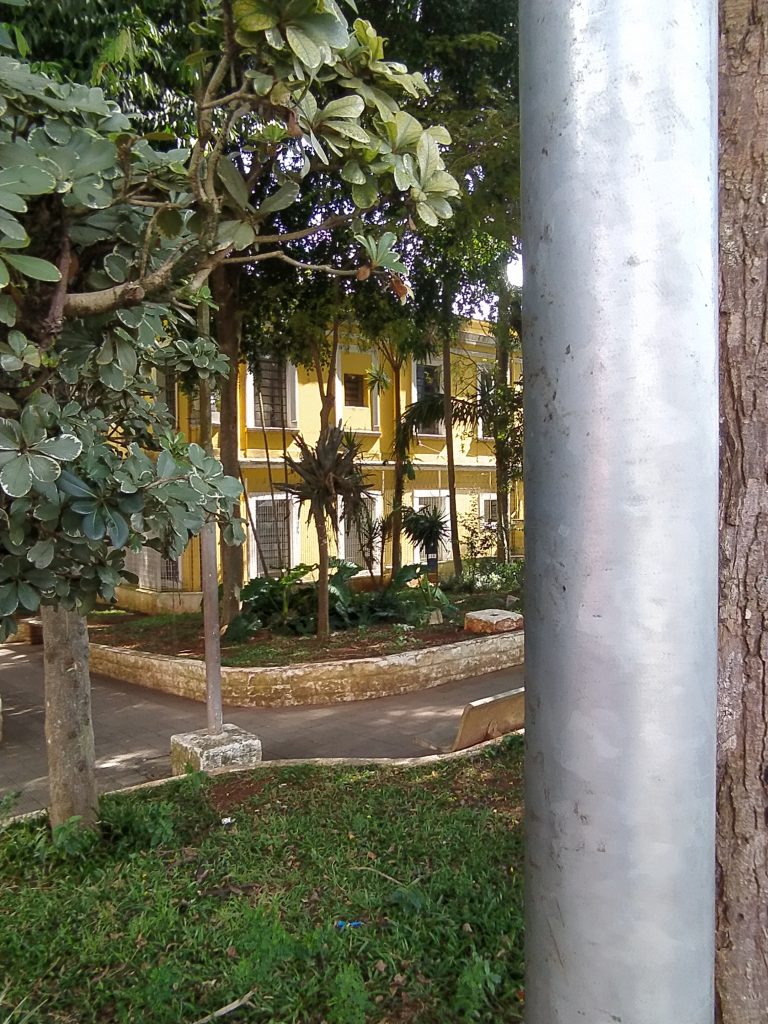Street photo in Campinas, Brazil by Vinícius Amaral