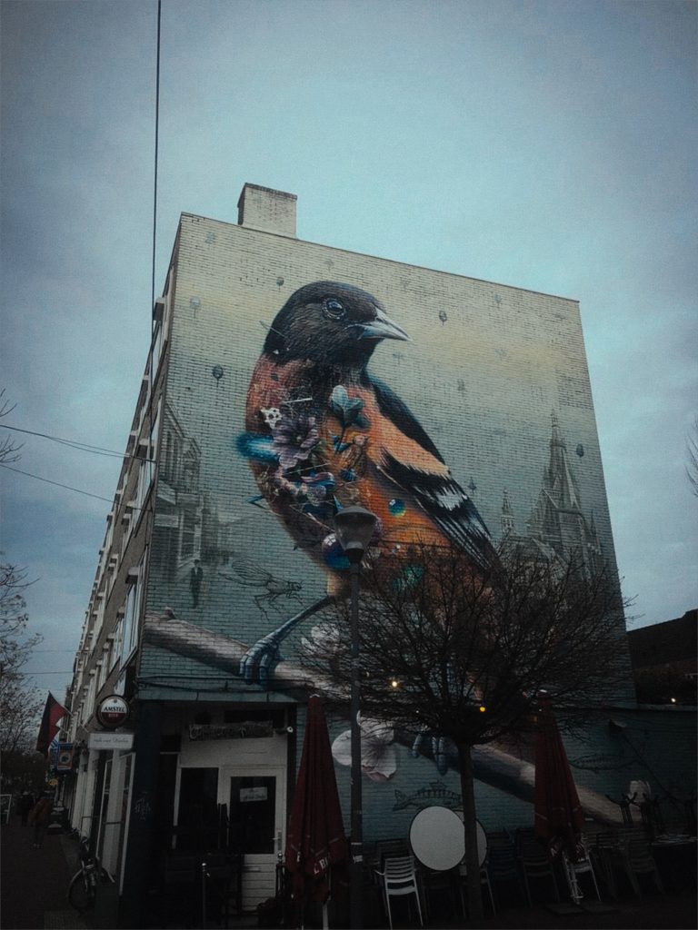 Photo by Mari Tsol